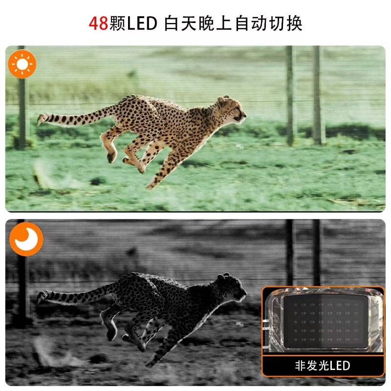 HOT SALE DL001 Jachtcamera Die - Outdoor Hunting Images recensie en prijs