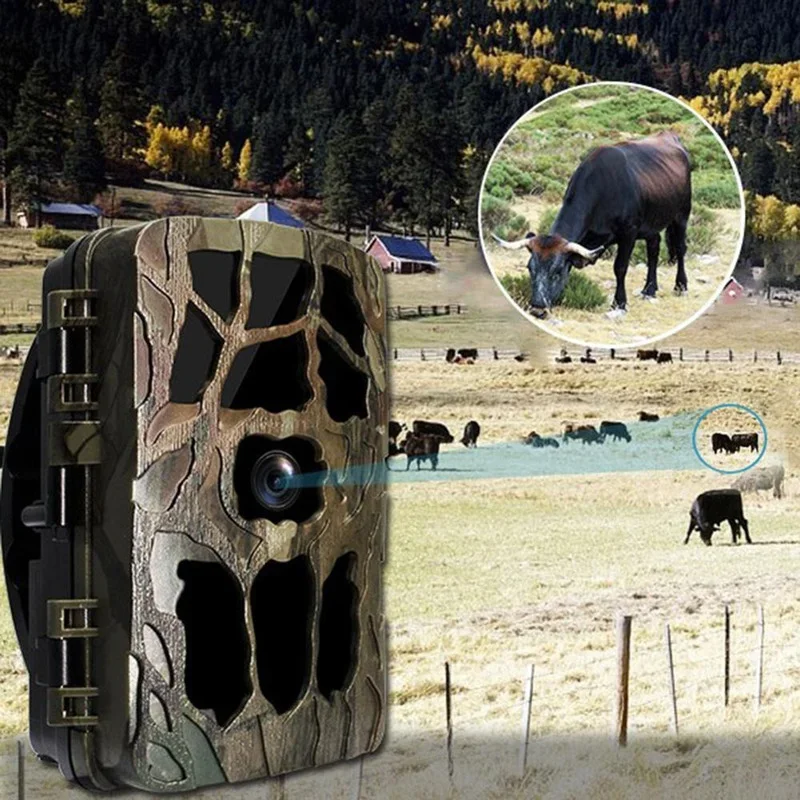 H982 IP66 Waterdichte 4K Outdo - Outdoor Hunting Images recensie en prijs